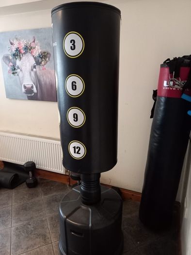 Hit pro standing punchbag New