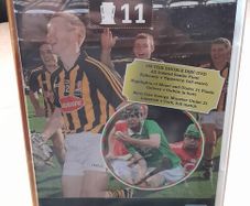 Liam 11 - Hurling Finals from 2011 - 2 DVD