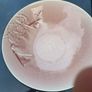 Pier 1 ...  Ceramic Stoneware Dinner Setting/... 3 Piece Setting  ..  (1) Soup/Cereal Bowl, (1) Side Plate, (1) Dinner Plate ..... (Have 2 Sets in Total at 14.00each Set) Image 4