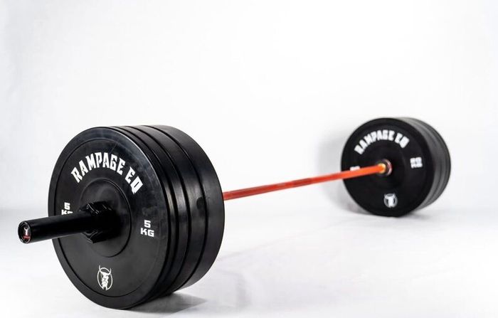 Fitness Home Olympic Barbell and Weights