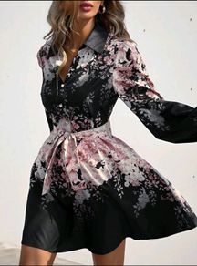 BN Beautiful Dress