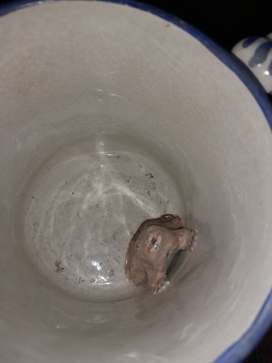 Antique Frog Surprise Mug