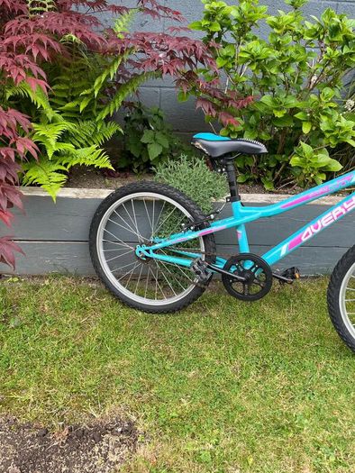 Avery 20" Child's Bike