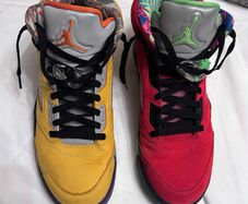 Jordan Air Jordan 5 Retro SE "What The"