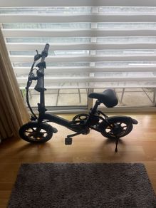 Electric bike