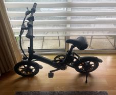Electric bike