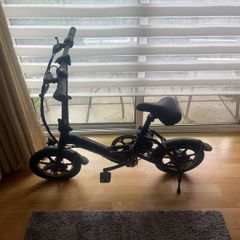 Electric bike