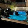 Swim Spa and Integrated Hot Tub Image 5