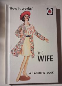 The Wife / Lady Bird for Adults / 2015