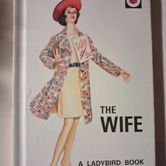 The Wife / Lady Bird for Adults / 2015