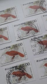 Stamps Lot - Birds - Sri-lanka