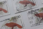 Stamps Lot - Birds - Sri-lanka