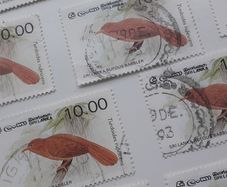 Stamps Lot - Birds - Sri-lanka
