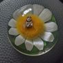 paperweight with bee inside on a daisy.Hard plastic Image 2