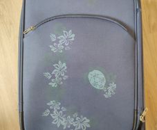 luggage 36x22x53