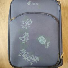 luggage 36x22x53