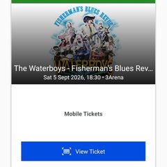Waterboys Gig Saturday 5 September 3Arena