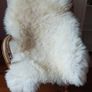 Giant sheepskin rugs, ivory colour, real leather.Ideal gift idea, wedding Image 3