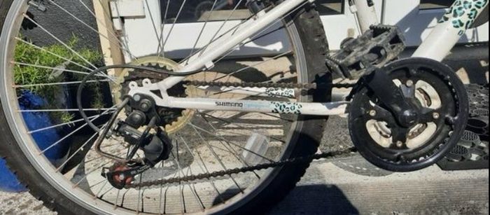 Kids bike girls / make Apollo Vivid