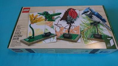 Lego Ideas Birds