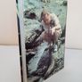 Life on Earth: A Natural History by David Attenborough (HQ648) Image 7