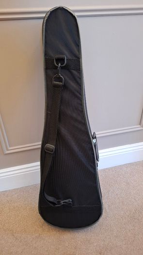 Stentor 1 Student Violin
