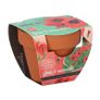 Bizzy Grow Gifts Mini Pots Image 6
