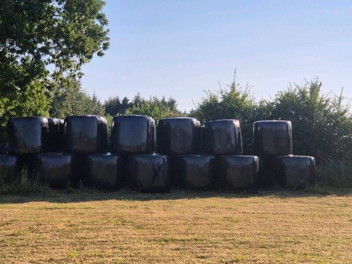 Silage bales