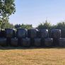 Silage bales Image 2