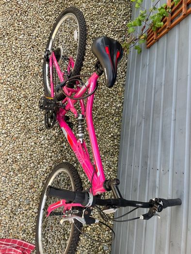 ladies bike
