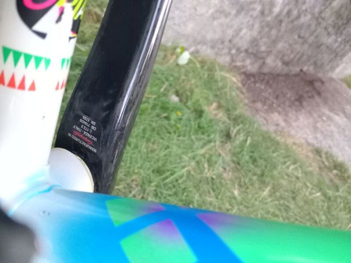 Pinarello Treviso Italia 56cm 10 sp Campy Record