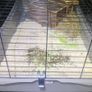 XXL  guinea pig & rabbit cage Image 4