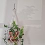 pot and hanger Image 4