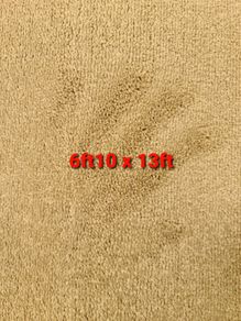 carpet 6ft10 x 13ft