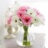 daisy304