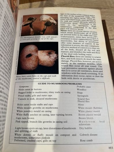 Vintage Marshall Cavendish - Grow Your Own Fruit / Vegetables Part 1&2