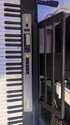 Casio Electric keyboard and stand