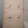 Vintage Fly fishing book Image 2