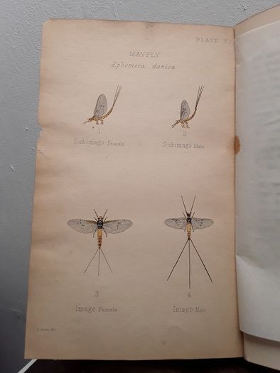 Vintage Fly fishing book