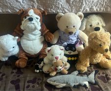 Variety of Soft Toys