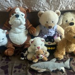 Variety of Soft Toys