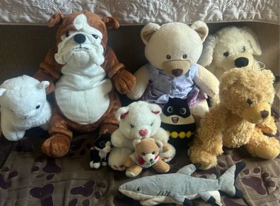 Variety of Soft Toys