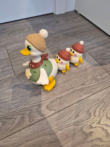 Big Steps waddling duck family