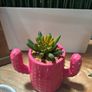 Decorative Homeware Bundle Image 8