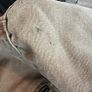 Detroit Carhartt Jacket Image 7