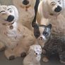 Lot Of King Charles Spaniels X 10 Image 6