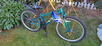 Girls Hybrid Bicycle