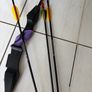 Sports archery bow an arrow Image 2