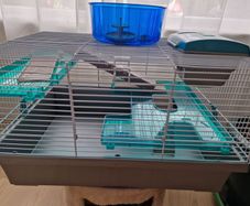 hamster cage and playground cage