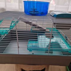 hamster cage and playground cage